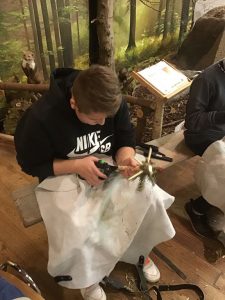 Schüler beim Erstellen eines Quirls aus einer Tannenbaumspitze